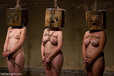 Submissive chicks with monstrous melons fuck a Sybian & blow big dildos in a BDSM debauchery - Image 18 of 21  in Dildo category   featuring Maestro, Cherry Torn, Sarah Shevon, Bella Rossi, Peter, Sasha Lexing, Nerine Mechanique, Maggie Mayhem, Savannah West 