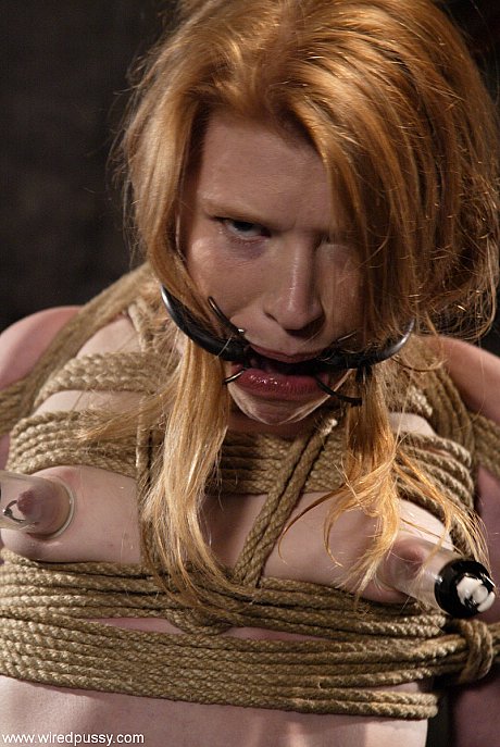 Wired cunt featuring Madison fresh teenie Sex Gallery - Image 13 of 21  in Lesbian category   featuring Madison Young 