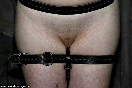 Device Bondage featuring Stacey Stax nude Images - Image 6 of 21  in Dildo category   featuring Stacey Stax 