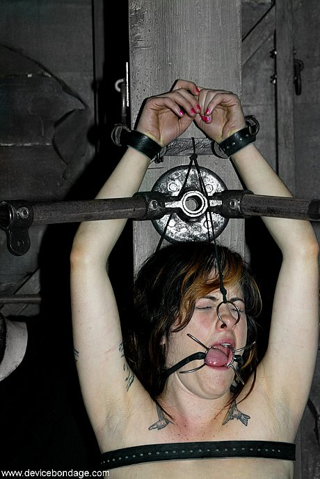 Device Bondage featuring Stacey Stax nude Images - Image 7 of 21  in Dildo category   featuring Stacey Stax 