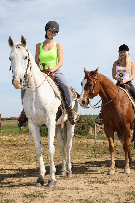 Cute teen equestrians dismount to finger snatch in a hot lesbian foursome - #1204708