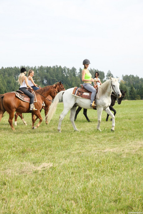 Cute teen equestrians dismount to finger snatch in a hot lesbian foursome - #1204711