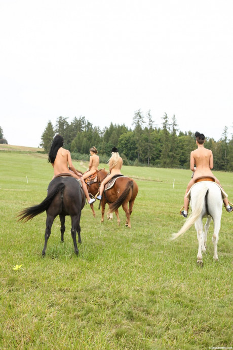 Cute teen equestrians dismount to finger snatch in a hot lesbian foursome - #1204713