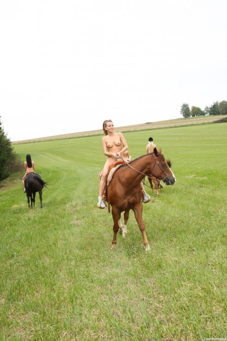 Cute teen equestrians dismount to finger snatch in a hot lesbian foursome - #1204715