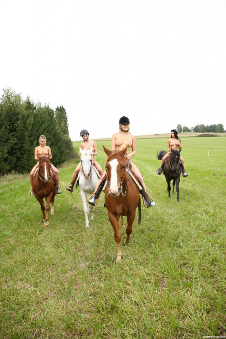 Cute teen equestrians dismount to finger snatch in a hot lesbian foursome - #1204716