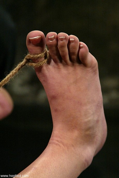 Hogtied starring Alexa Von Tess Sex Pictures - Image 6 of 21  in Dildo category   featuring Alexa Von Tess 