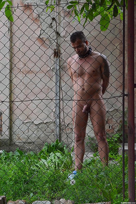 Teenie femdom Miky Love plays with a slave & blows his cock in the back yard - Image 1 of 21  in Outdoor category   featuring Miky Love 