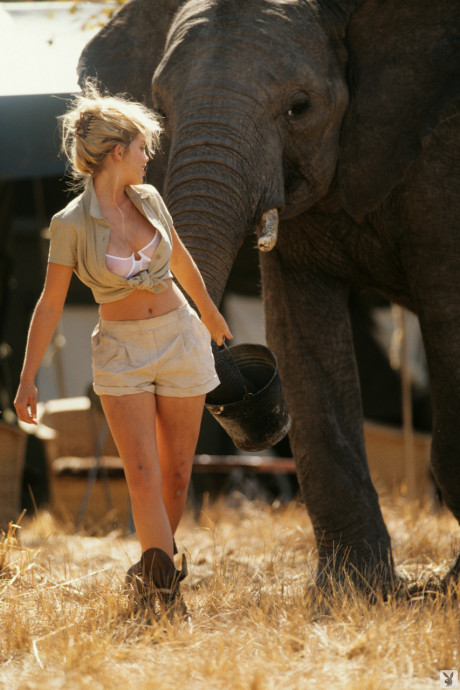 Playboy dolls strip and show off their killer bodies during Safari adventures - #1258551