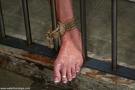 Water Bondage starring Delilah Strong Hot Images - Image 12 of 21  in Amateur category   featuring Delilah Strong 