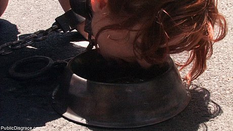 Public Disgrace starring Justine, Nick Moreno naked Photos - Image 18 of 21  in Outdoor category   featuring Justine, Nick Moreno 