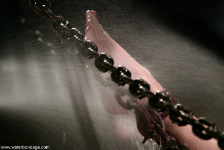 Water Bondage Dee Williams - #426044