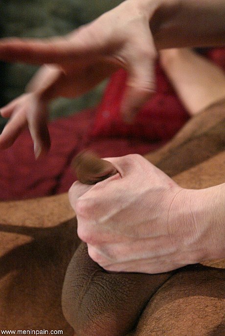 Studs In Pain starring Claire Adams, totaleurosex Porn Gallery - Image 11 of 21  in Close Up category   featuring Claire Adams 