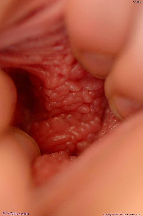 Ravishing amateur babe Callista toys her pink vagina and exposes it up close - Image 16 of 20  in Big Clit category   featuring Callista 