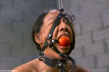 Gagged asian Kelana gets her breasts whipped while restrained in a ball & chain - #1033228
