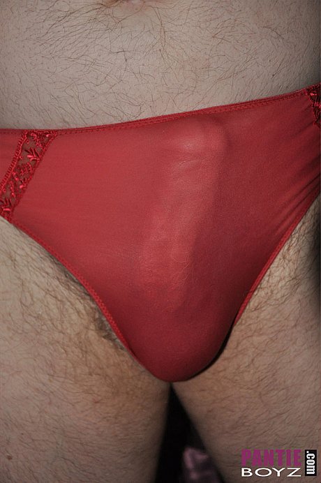 Pantie Boyz XXX Images - Image 3 of 13  in Shemale category  