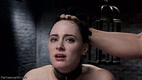 Charming babe Tifereth gives a gigantic rod a reverse cowgirl ride in a hot BDSM scene - Image 17 of 20  in Cumshot category   featuring Owen Gray, Tifereth 
