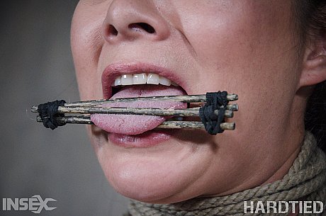 Best friends Nadia White & Nyssa Nevers get tortured together in a cage - Image 8 of 14  in Lesbian category   featuring Nadia White, Nyssa Nevers 