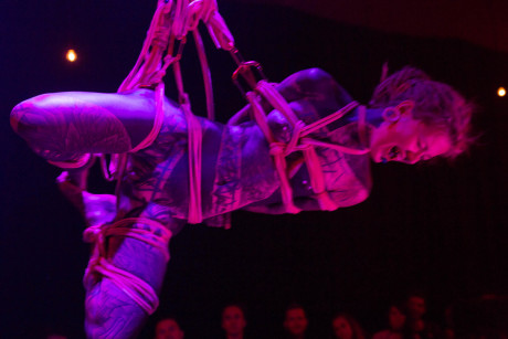 Alternative couple put on a live Shibari show for an enthused audience - #805215