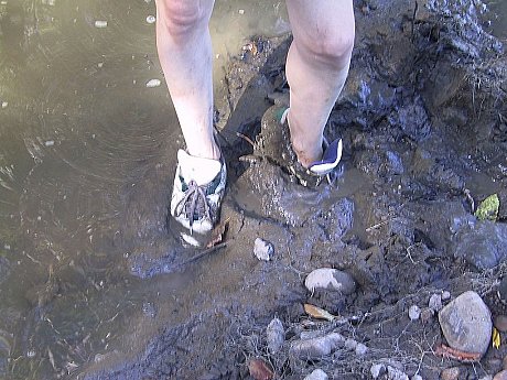 Cowgirl Erika Shelley exposes her tiny breasts while playing in the mud - Image 20 of 21  in Outdoor category   featuring Erika Shelley 