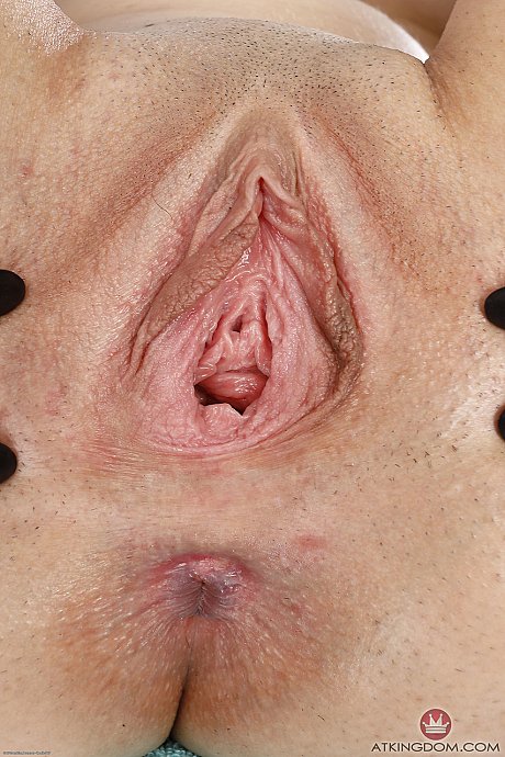 ATK Galleria featuring Stevie Grey Porn Pics - Image 11 of 21  in Big Clit category   featuring Stevie Grey 
