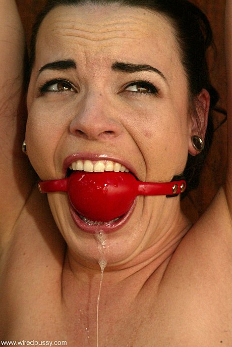 Lezdom queen Dana DeArmond toys tied-up & ball-gagged MILFs with her vibrator - Image 16 of 20  in Lesbian category   featuring Keeani Lei, Princess Donna Dolore, Dana DeArmond, Jenni Lee, Dylan Ryan 