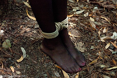 Female subs Beretta James & Chanel Preston get analized in rope bondage - Image 7 of 20  in Skinny category   featuring Chanel Preston, James Deen, Beretta James 