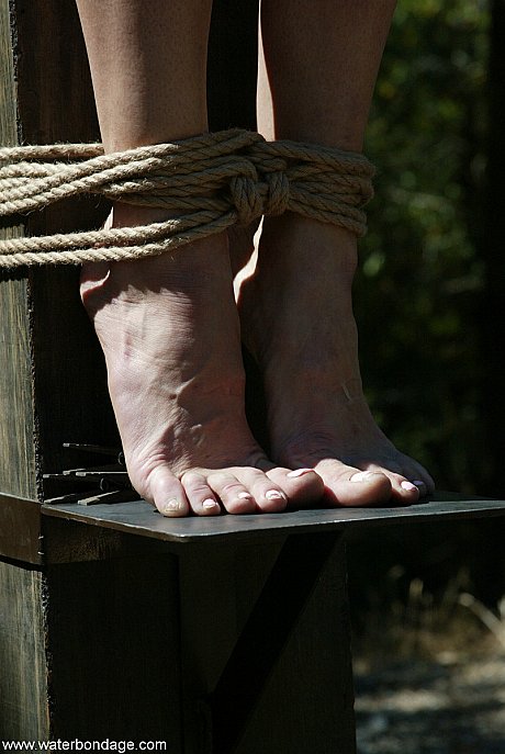 Nude brunette Venus gets whipped & toyed during an outdoor crucifixion scene - Image 10 of 21  in Big Clit category   featuring Audrey Leigh, Venus 