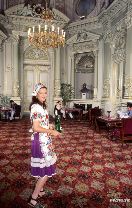 Caucasian maid Szylvia flashes her employer before being gangbanged - #1068725