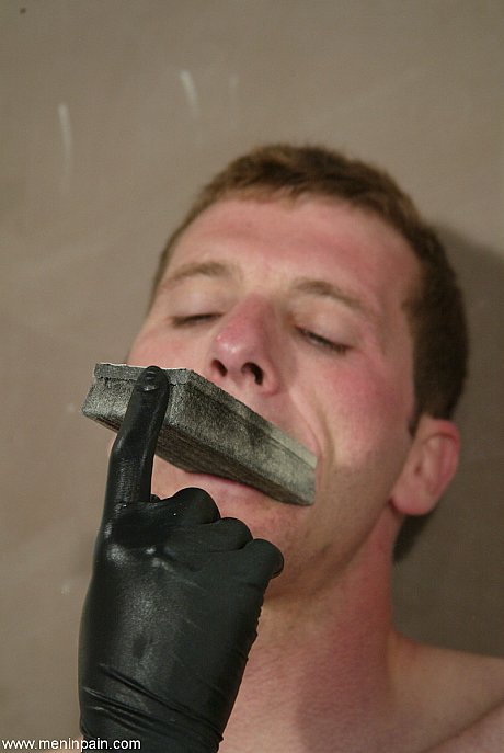 Studs In Pain featuring Cole Conners, Gavin Porn Images - Image 17 of 20  in MILF category   featuring Gavin, Cole Conners 