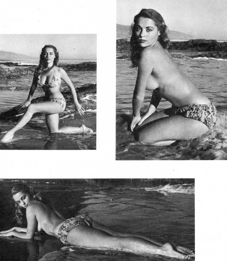 Ravishing brunette Diane Webber bares her hot body during a vintage photoshoot - #556427