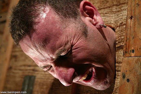 Studs In Pain starring Alice Sadique, Rox Hot XXX - Image 13 of 20  in Close Up category   featuring Alice Sadique, Rox 