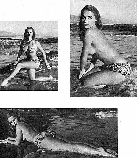 Ravishing brunette Diane Webber bares her hot body during a vintage photoshoot - Image 7 of 12  in Vintage category  
