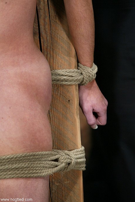 Fine bound blonde babe Kelly Wells has her clit & nipples clamped & weighted - Image 11 of 21  in Sexy category   featuring Kelly Wells 