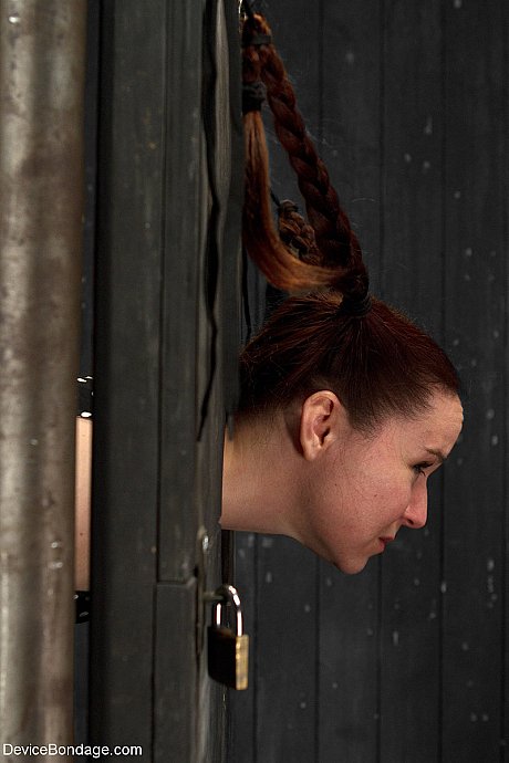 Young AnnaBelle Lee gets humiliated while being trapped in a standing stock - Image 7 of 20  in Pussy category   featuring Annabelle Lee, Claire Adams 