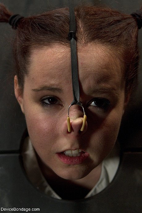 Young AnnaBelle Lee gets humiliated while being trapped in a standing stock - Image 9 of 20  in Pussy category   featuring Annabelle Lee, Claire Adams 