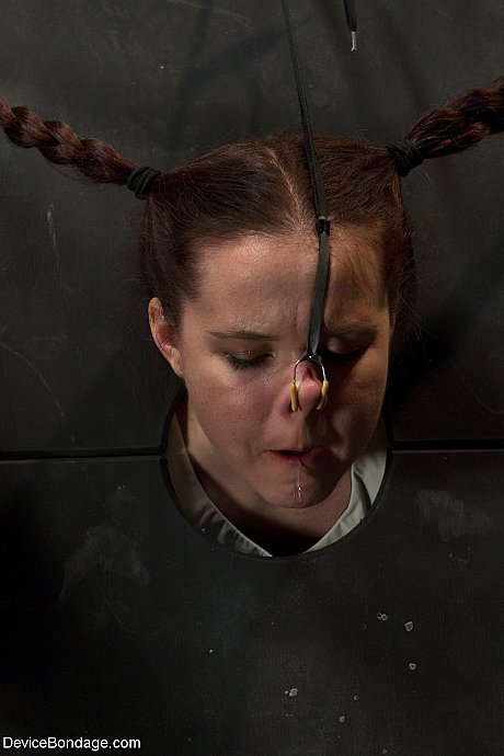 Young AnnaBelle Lee gets humiliated while being trapped in a standing stock - Image 13 of 20  in Pussy category   featuring Annabelle Lee, Claire Adams 