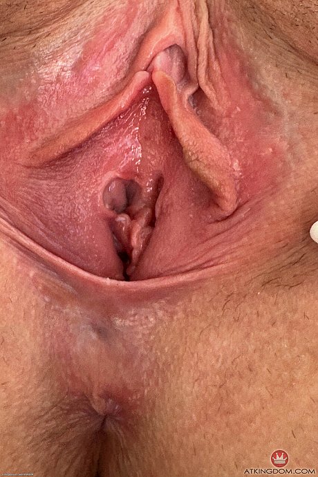 ATK Galleria featuring Sophia Sterling undressed Porn Pics - Image 8 of 21  in Pussy category   featuring Sophia Sterling 