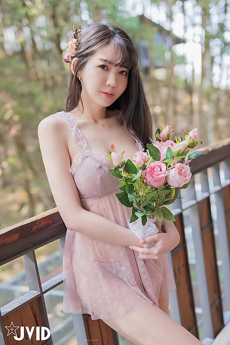 JVIDZone - Gallery #33639