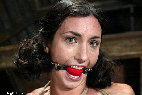 Hogtied performed by Sgt Major, Wenona Sex Pics - Image 3 of 21  in Sexy category   featuring Sgt Major, Wenona 