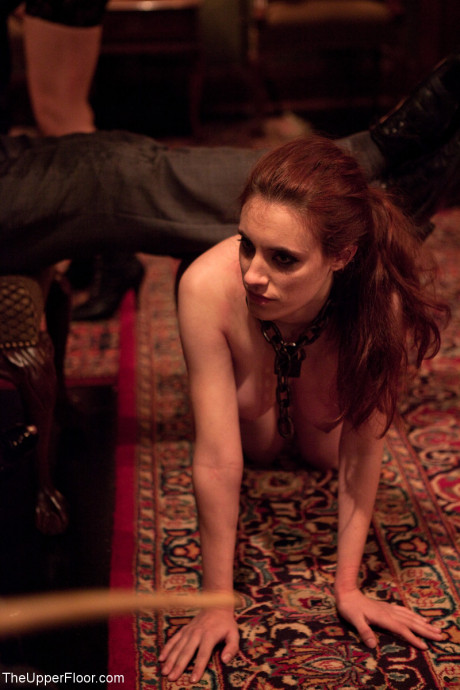 The Upper Floor Iona Grace, Jessie Cox, Kait Snow, Krysta Kaos - #1290147