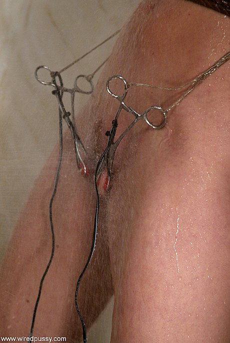 Cute babe Roxanne Hall flaunts her enormous boobs during an electrical play session - Image 8 of 20  in Dildo category   featuring Roxanne Hall 