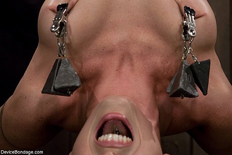 Brunette Wenona gets humiliated while restrained suspended in metal bondage - Image 9 of 20  in Dildo category   featuring Wenona 