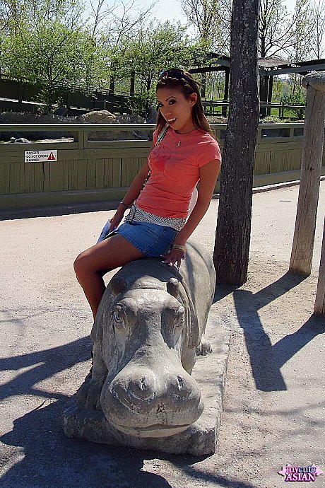 Oriental amateur flashes her upskirt panties and titties while visiting a zoo - Image 7 of 16  in Close Up category   featuring Isis Lee 