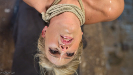 Hogtied Angel Allwood - #1108825