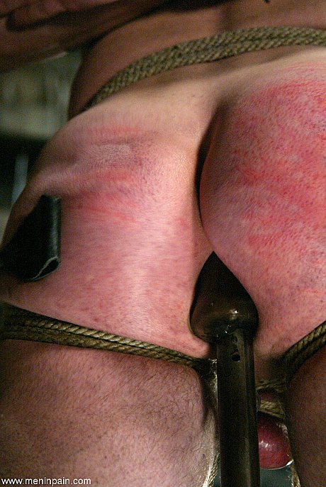 Males In Pain featuring Deja Daire, Michael Sex Photos - Image 7 of 21  in Skirt category   featuring Michael 