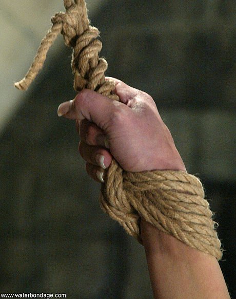 Brunette babe Shy Love gets tied up has her nips pinched by a slutty domme - Image 16 of 20  in Latina category   featuring Shy Love 