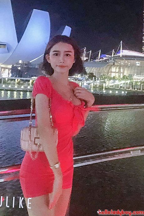 Attractive chinese ladyboy Bella shows her cleavage in her solo compilation - Image 18 of 20  in Ladyboy category   featuring Ladyboy Bella 