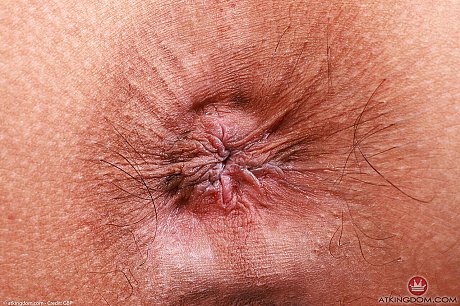 ATK Exotics starring Sona Bella naked Images - Image 21 of 21  in Teen category   featuring Sona Bella 