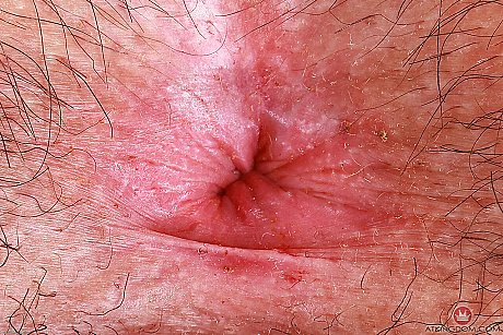 ATK furry featuring Gigi naked Pictures - Image 21 of 21  in Big Clit category   featuring Gigi 