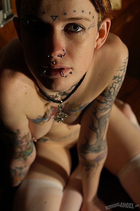 Babe with short hair and heavy tattoos is a striptease at an empty bar - Image 17 of 19  in Spreading category   featuring Rachel Face 